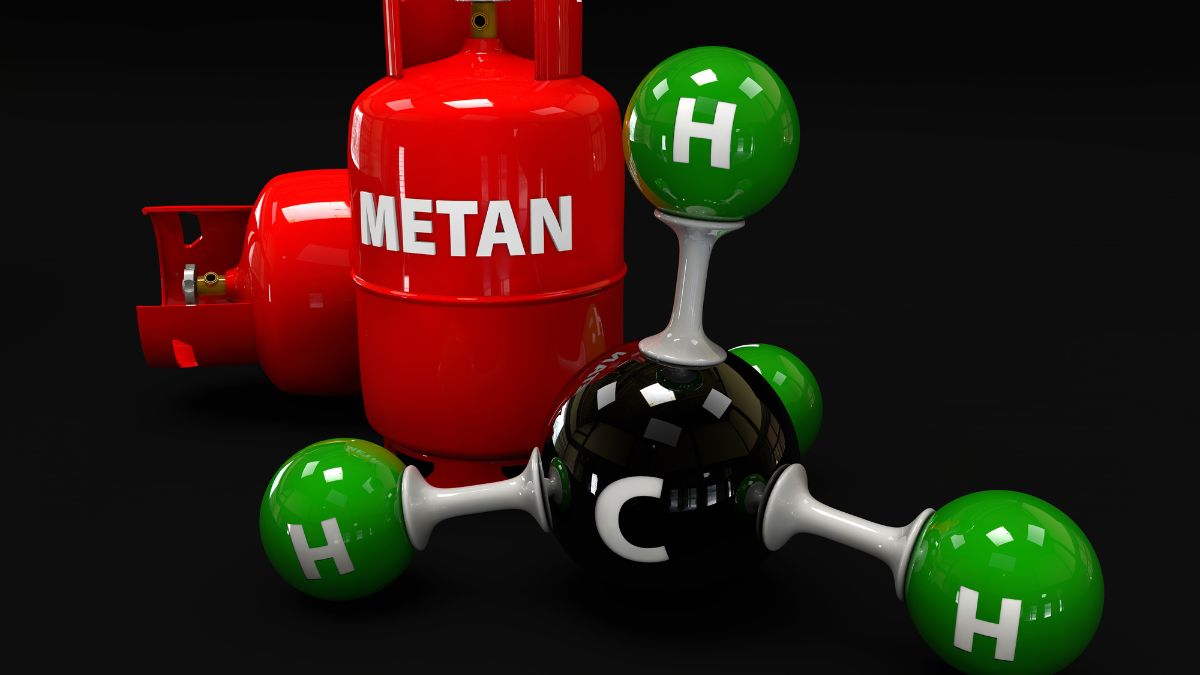 zem 2025 10 07T080705.621