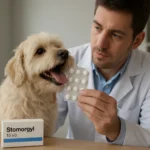 Veterinár s liekom Stomorgyl a psom v ordinácii.