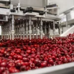 Strojové odpeckovanie čerešní v modernom spracovaní ovocia