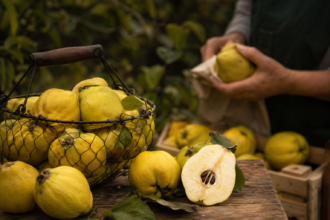 Čerstvé vlčie jablko s prirodzenými zdravotnými účinkami