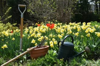 Ručné záhradné náradie v kvetinovej záhrade s tulipánmi a narcismi.
