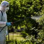 Osoba v ochrannom oblečení postrekovala rastliny insekticídom.
